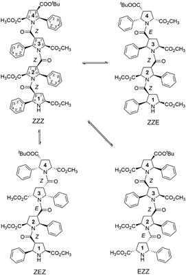 Theoretical and NMR Conformational Studies of β-Proline <mark class="highlighted">Oligopeptides</mark> With Alternating Chirality of Pyrrolidine Units